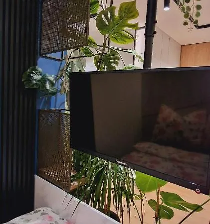 Magic House Apartament Proszowska 58 II Bochnia Eksteriør bilde