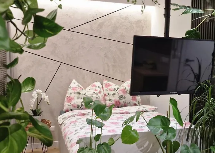 Magic House Apartament Proszowska 58 II