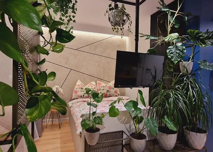 Magic House Apartament Proszowska 58 II