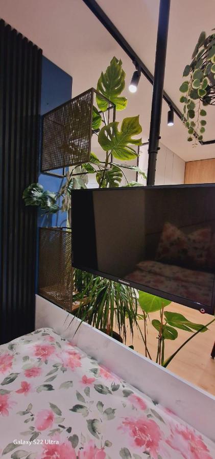 Apartment Magic House Proszowska 58 Ii Bochnia